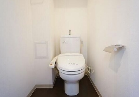 大阪市中央区農人橋１丁目の賃貸マンションのトイレ