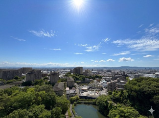 【展望】
