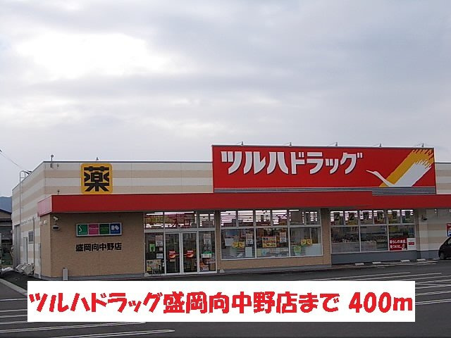 レグルスみなみⅢの周辺|ツルハドラッグ盛岡向中野店まで400m