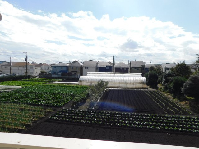 カトレア ヴィオレの展望|別部屋の写真です