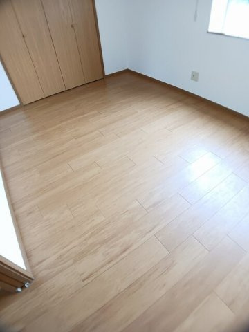 Ｖｅｇａのその他