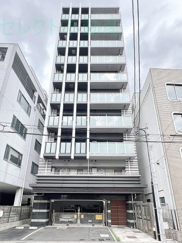 OASIS金山