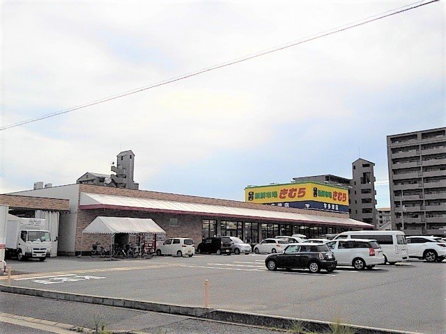 マルベル宇多津の周辺|きむら宇多津店まで550m