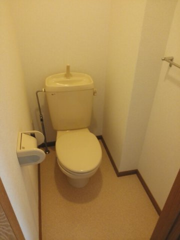 ヴィレッジ龍馬　Ｃのトイレ|落ち着いた色調のトイレです