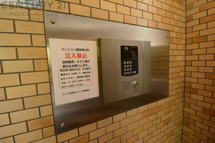 駅周辺には複数のスーパーや商業施設、飲食店が揃っており、日常の買い物が徒歩数分圏内で完結。