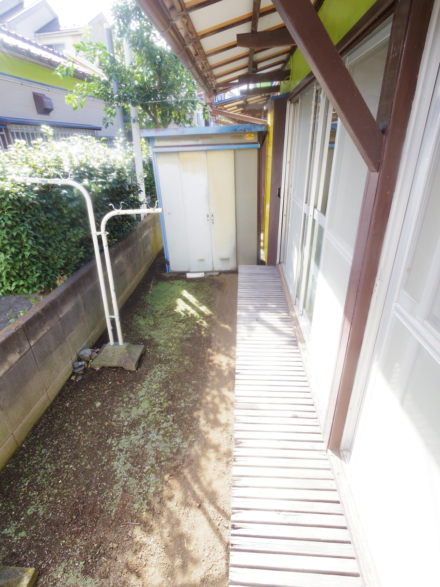 金子住宅の庭