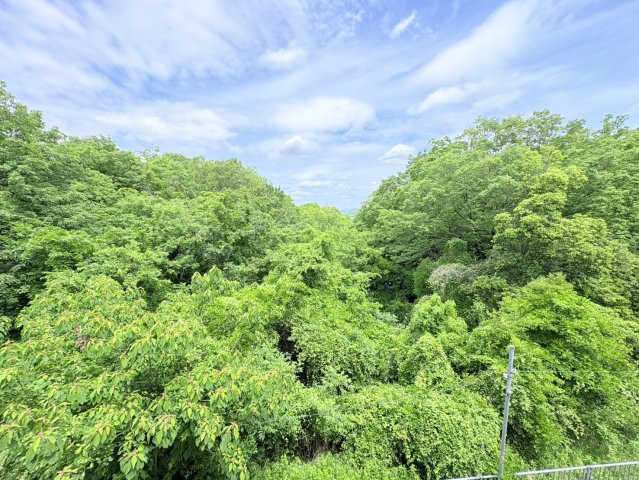 菖蒲が丘二丁目一戸建の展望
