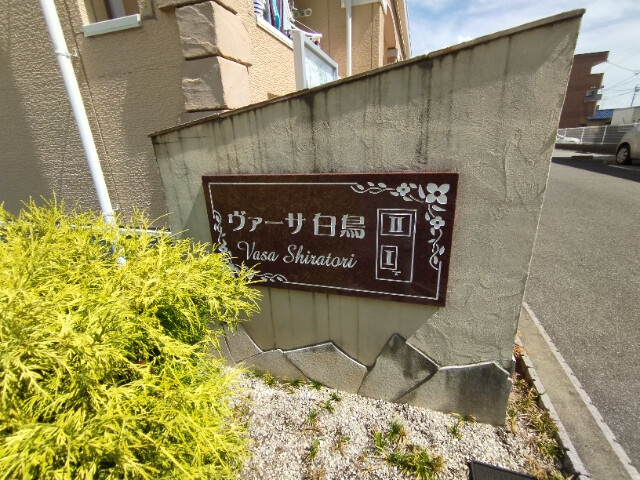 ヴァーサ白鳥Ⅱのその他