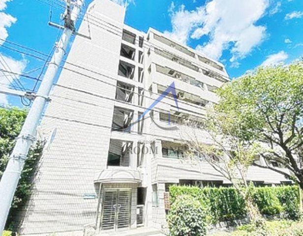 ディフロイデェの外観|外観です。