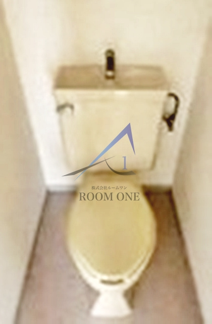 ディフロイデェのトイレ|トイレです。