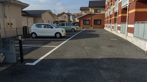 レオネクストミモザのその他