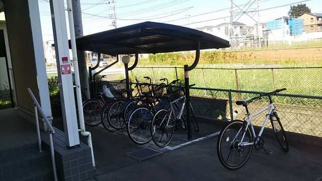 レオネクストミモザのその他