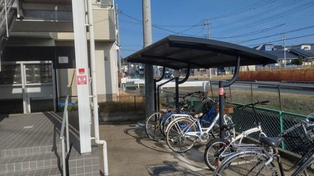 レオネクストミモザのその他