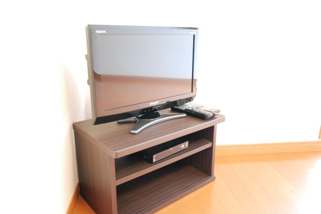 レオパレストシミのその他