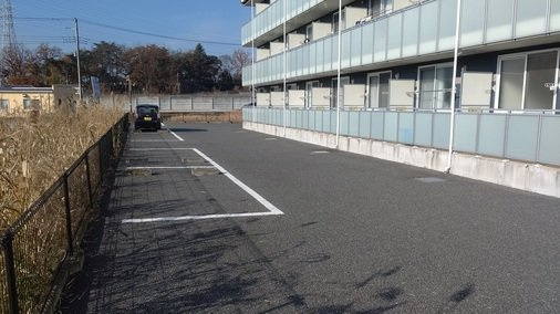 レオネクストアルトのその他