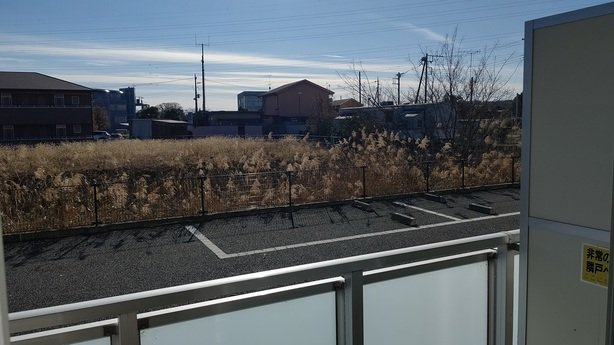 レオネクストアルトのその他