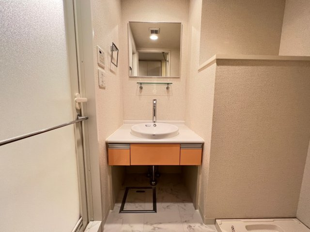 セレッソコート上本町EASTの洗面所