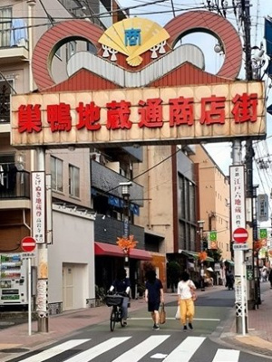 【周辺】 | メゾン・ド・ルボア | 巣鴨地蔵通商店街まで198m