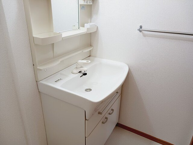 プルメリアの洗面所