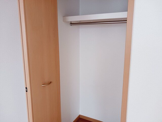 プルメリアの収納