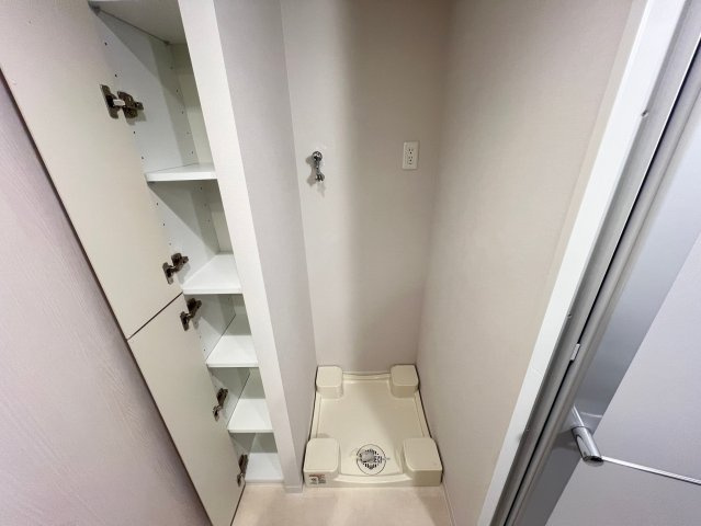 ルフォンプログレ堺筋本町タワーレジデンスの洗面所