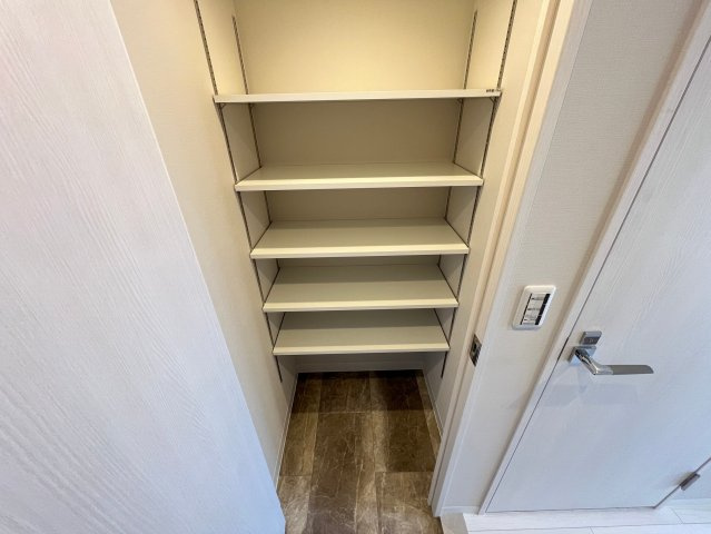 ルフォンプログレ堺筋本町タワーレジデンスの収納