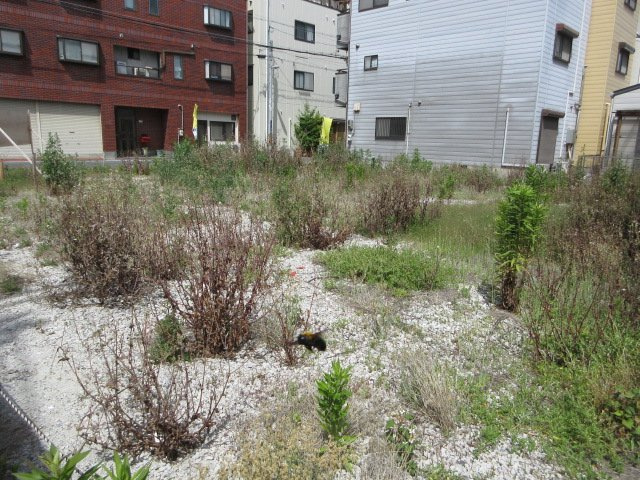 大阪市西淀川区柏里１丁目の売地