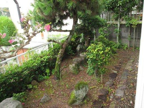 別府市関の江新町　の庭