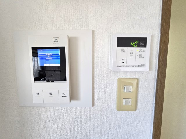 ヴェルドミールのセキュリティ