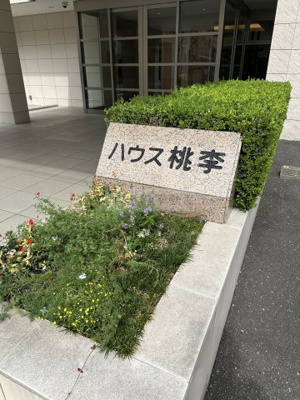 【その他】 | ハウス桃李