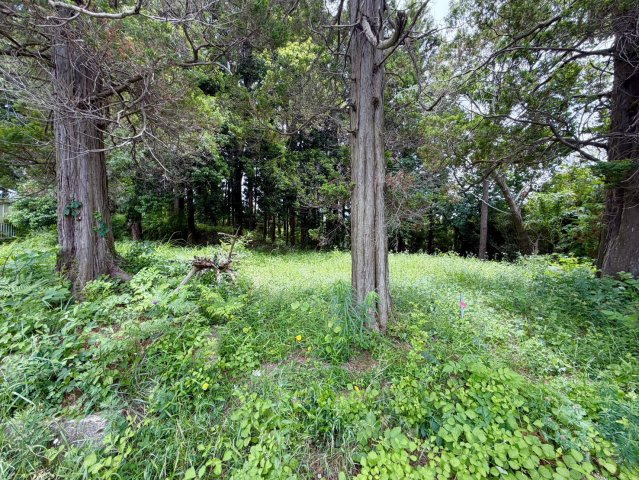 稲敷郡美浦村土地の周辺
