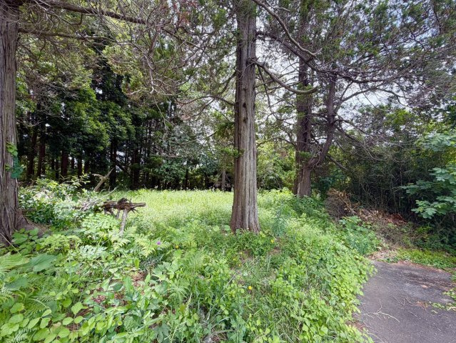 稲敷郡美浦村土地の周辺