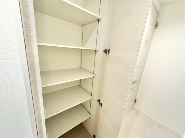 中古戸建　尼崎市大庄北3丁目の収納|2F廊下収納