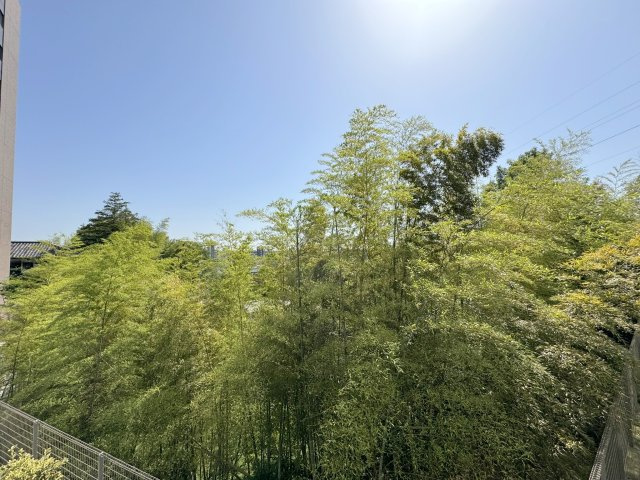 エクセレントシティ新松戸グランの展望|バルコニーからの眺望