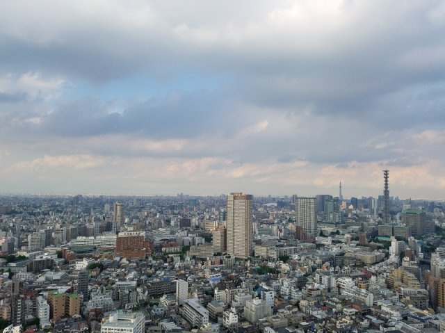 富久クロスコンフォートタワーの展望