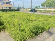 玉名市岱明町大野下の画像