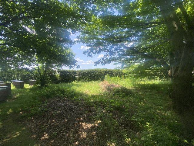 【外観】 | 菊池市七城町山崎