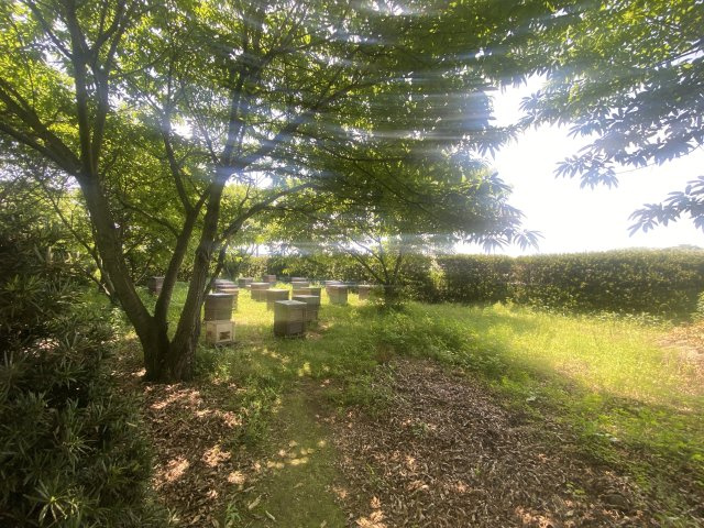 【周辺】 | 菊池市七城町山崎