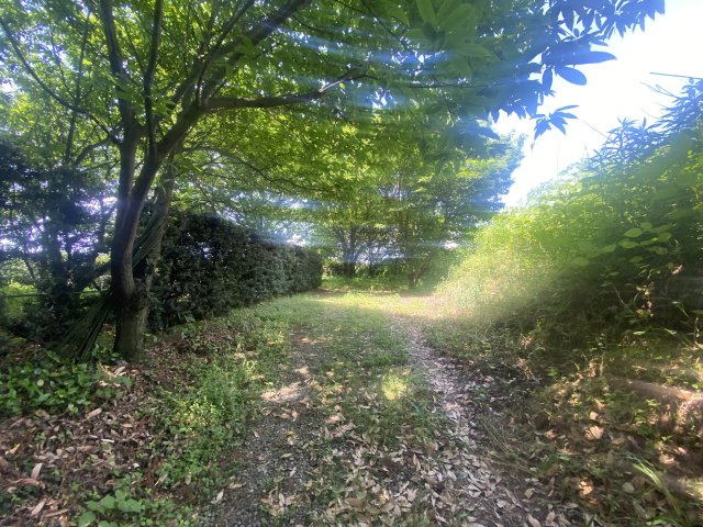 【前面道路含む現地写真】 | 菊池市七城町山崎