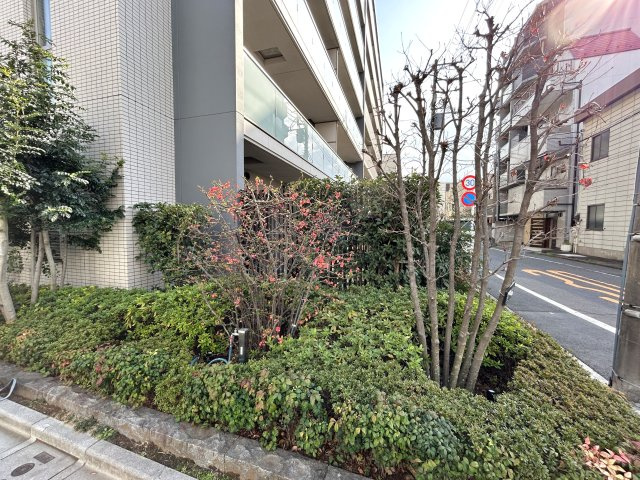イニシア墨田押上の庭