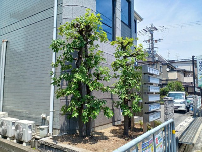 【外観】 | 天野が原　ホリビル　3B | 現地外観写真になります。