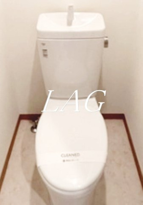 【トイレ】 | ヒルズ三栄町 | トイレです。