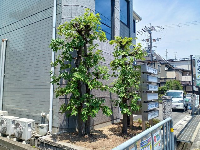 【外観】 | 天野が原　ホリビル　3C | 現地外観写真になります。