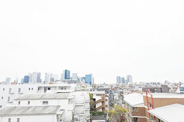ＲＥＬＵＸＩＡ　ＣＩＴＹ　北新宿 の展望