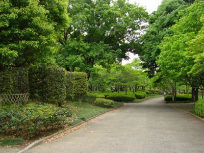 【周辺】 | 八坂東 | 八坂公園まで320ｍ