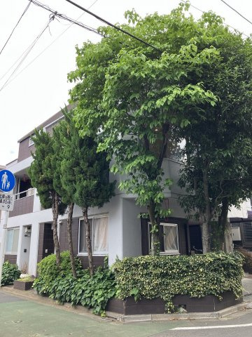 パーシモンマンション