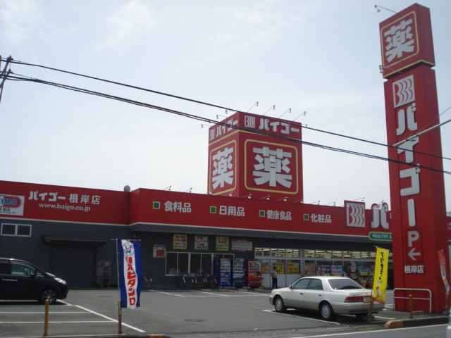 ノーザンライツの周辺|ドラッグストアバイゴー上広瀬店まで2,044ｍ