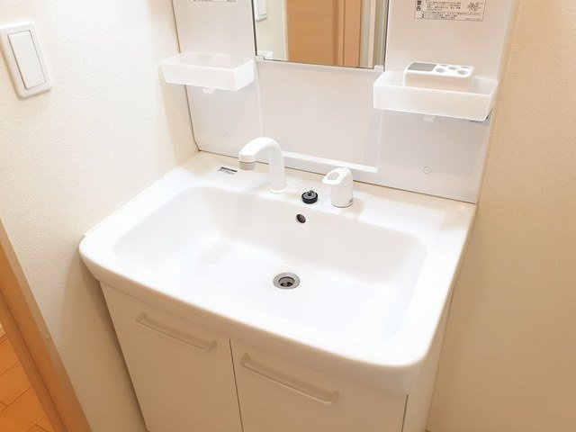 プリュムの洗面所