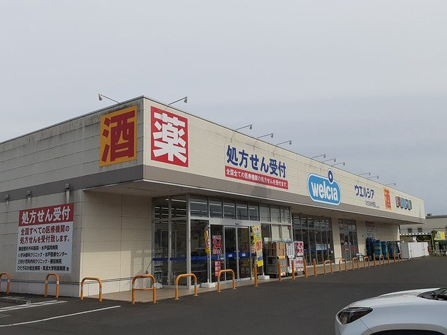 シンボリ　アニメイト　Ⅱの周辺|ウエルシア外野店まで300m
