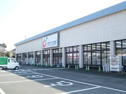 サーパス石井町の周辺|カワチ薬品石井町店まで101m